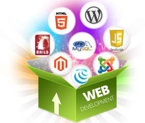 Web Developer